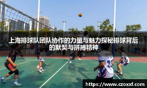 星空体育网站入口