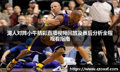 湖人对阵小牛精彩直播视频回放及赛后分析全程观看指南